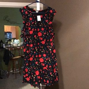Never Worn J. Crew dress